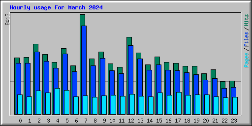 Hourly usage for March 2024