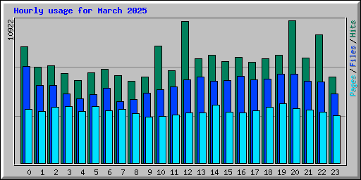 Hourly usage for March 2025